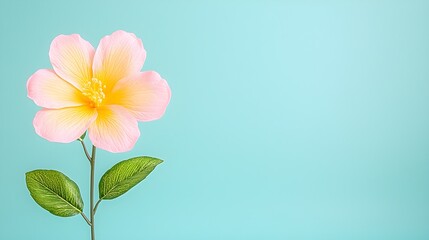 Naklejka premium Beautiful Pink and Yellow Flower on Blue Background