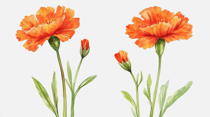 Obraz premium Elegant wedding invitation card background vector. Minimal hand painted watercolor botanical flowers texture template background. Design for wedding, vip cover, poster, rsvp moderncard.Valentine's Day