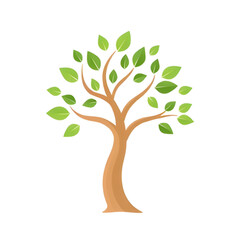 Fototapeta premium tree with leaves