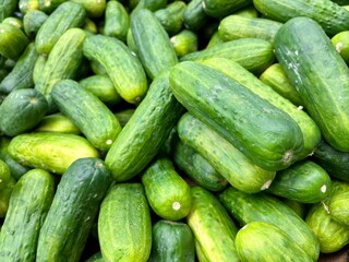 Closeup on bright green cucumbers in grocery store