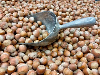 Metal scoop on a pile of hazelnuts in a bulk bin at a store