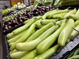 Closeup of fresh green and purple eggplants displayed shelf