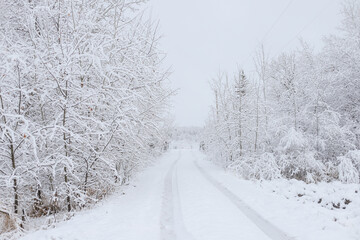 Obraz premium Long Driveway in Snow Covered
