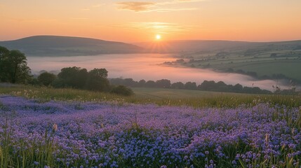 Sunrise over misty valley with wildflowers.