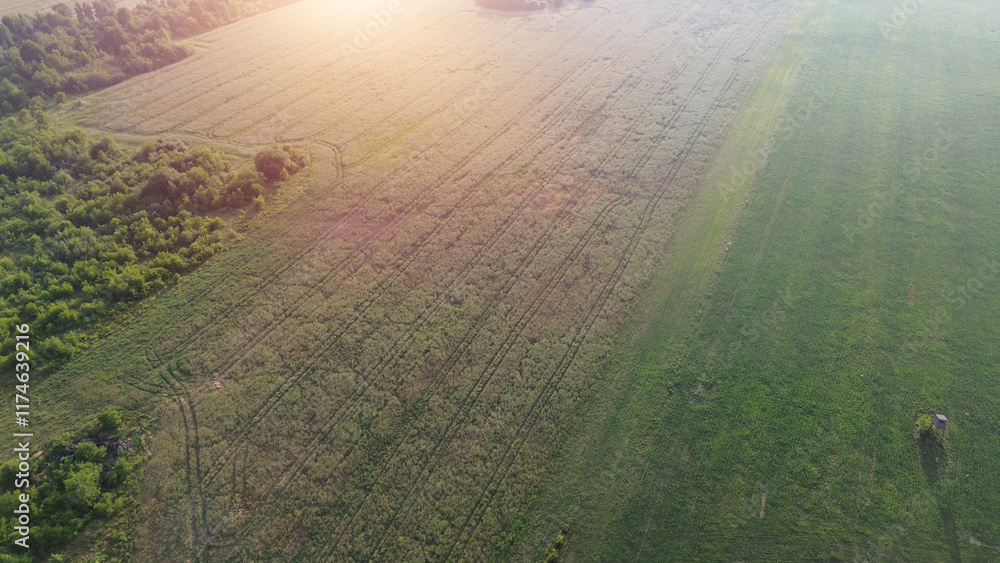 Poster Aerial scenery of fields and woods on misty morning