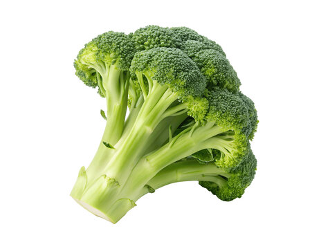 Fresh broccoli isolated on a white transparent background, showcasing its vibrant green color and healthy florets. Perfect for food photography, healthy eating blogs, promoting fresh vegetables online