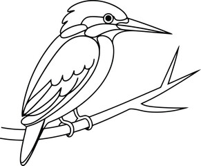 illustration of a Woodlands Kingfisher bird Coloring book for kids