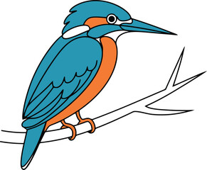 illustration of a Woodlands Kingfisher bird Coloring book for kids