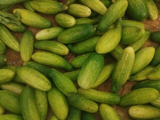 the green cucumber