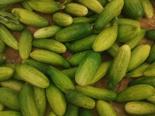 the green cucumber