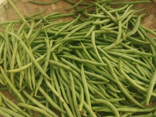 fresh green beans