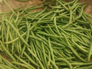 fresh green beans