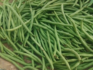 fresh green beans