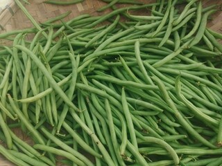 fresh green beans