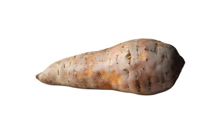 Fresh Sweet Potato Isolated on White Background for Cooking Use