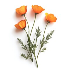 Naklejka premium Vibrant Orange Poppies