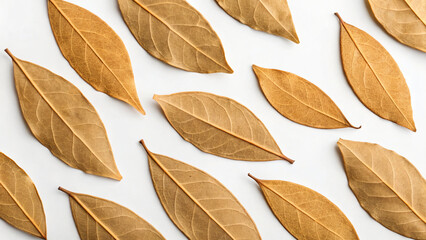 Fototapeta premium dry leaves on background