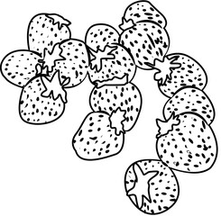 fresh strawberry fruit coloring book