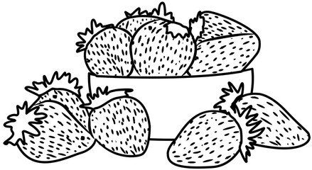 fresh strawberry fruit coloring book