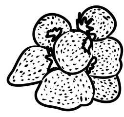 fresh strawberry fruit coloring book