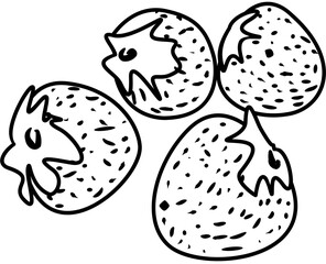 fresh strawberry fruit coloring book