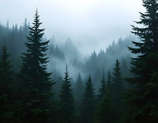 Misty Mountain Forest: Serene Evergreen Landscape in a Dreamlike Setting