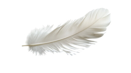 Fototapeta premium feather isolated