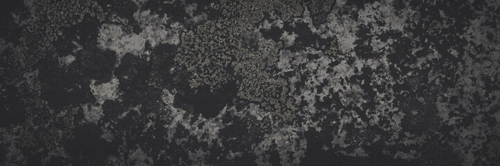 Natural texture of a stone covered with lichen. Lichen patterns on a rock surface. Natural background. Closeup top view. Faded dark wide panoramic background for design.