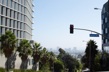 Traffic light with city skyline in background