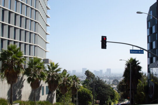 Traffic light with city skyline in background
