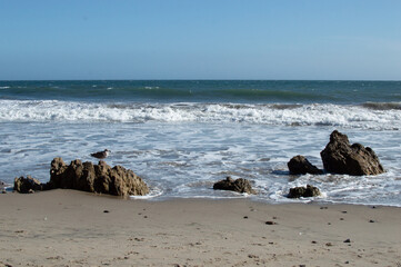 Bird and rocks on beach with crashing waves