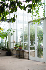 Plants and flowers inside greenhouse
