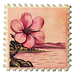vintage postage stamp with large cherry blossoms 