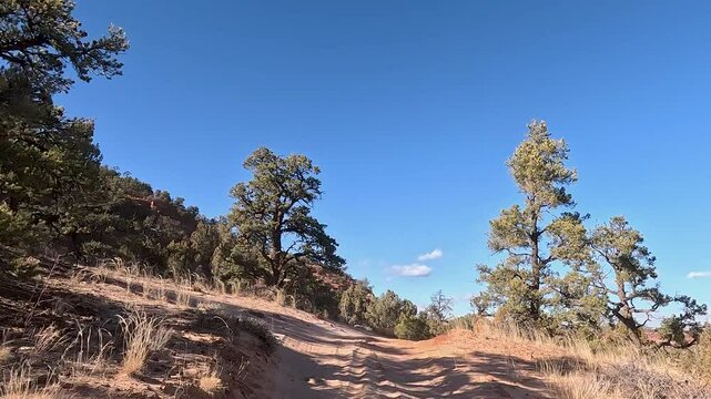 Kanab Utah recreation ride forest mountain POV. Off road trail riding in 4x4 all terrain vehicle for sport and recreation. Desert landscape, dusty trails and recreation areas. Southwest Utah