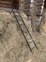 A ladder is leaning against a pile of hay