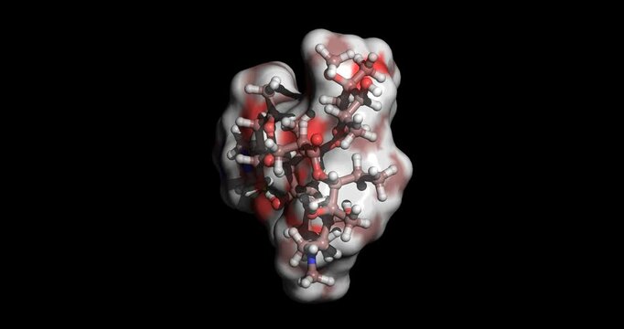  Azithromycin, broad‑spectrum macrolide antibiotic, 3D molecule spinning, 4K