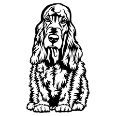 English Cocker Spaniel Dog Breed - Pet Vector Cut file, Dog Silhouette Stencil - Cricut file
