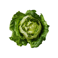 Fototapeta premium lettuce on white background Green leaves pattern Salad ingredient