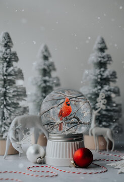 Snowglobe of red cardinal with white deer and trees for Christmas.