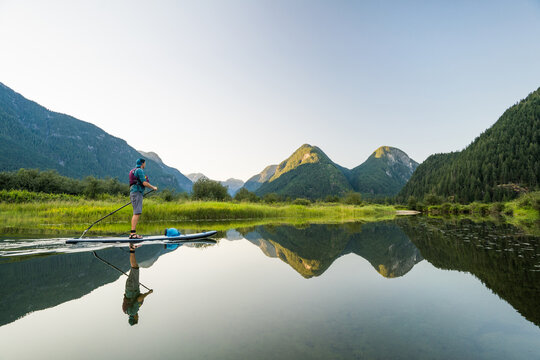 Scenic reflected side view of man on stand up paddle board.