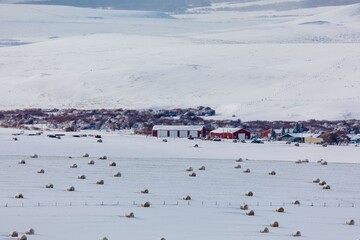 Snowy rural landscape with hay bales and farm buildings. Winter scene in a rural area. , Browning, Montana, USA © Zenstratus