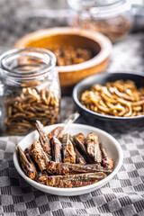 Dried salted insect. Roasted grasshoppers in bowl.