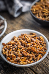 Dried salted insect. Roasted crickets in bowl on wooden table.