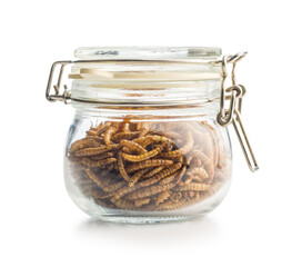 Dried salted worms. Roasted mealworms in jar isolated on white background.