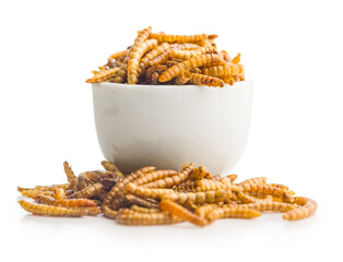 Dried salted worms. Roasted mealworms in bowl isolated on white background.