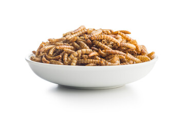 Dried salted worms. Roasted mealworms in bowl isolated on white background.