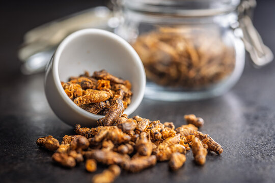 Dried salted insect. Roasted crickets on black table.