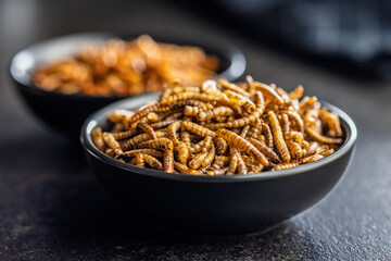 Dried salted worms. Roasted mealworms in bowl on black table.