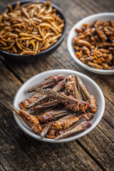 Dried salted insect. Roasted grasshoppers in bowl on wooden table.