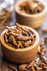 Dried salted insect. Roasted crickets in bowl on wooden table.